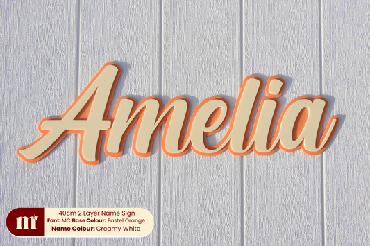 Two Layer Acrylic  Name Sign